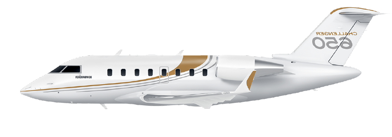 650 01-01.png